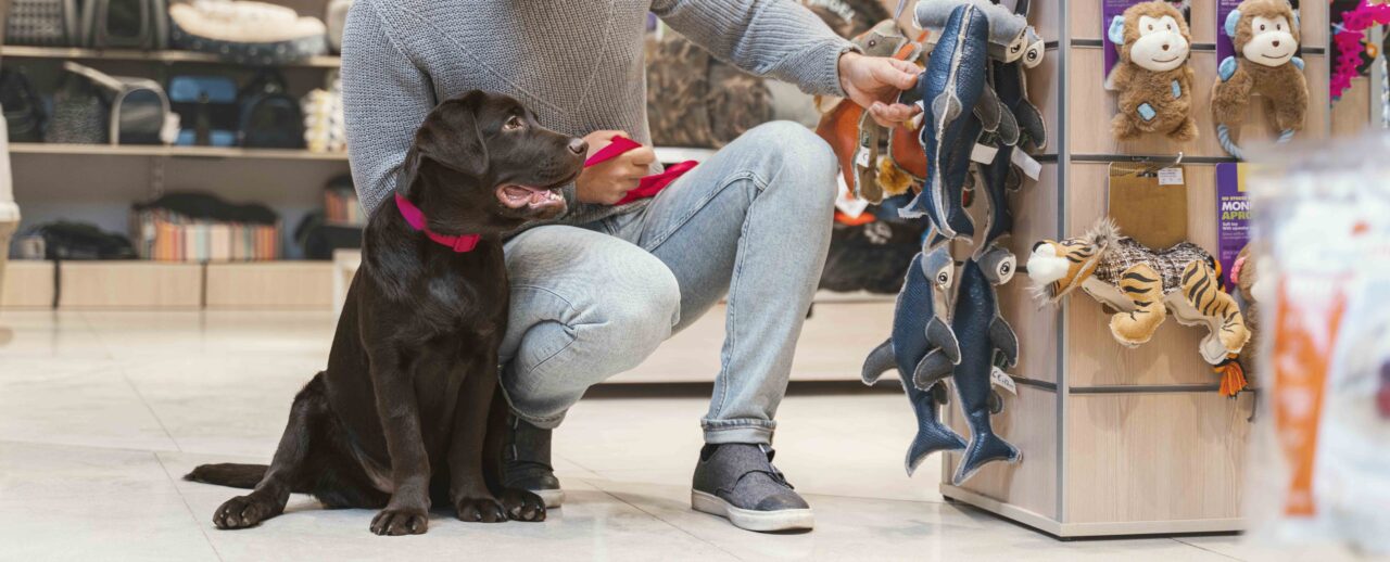 DVM Referral Form Animal Emergency Clinic Of The Hudson Valley