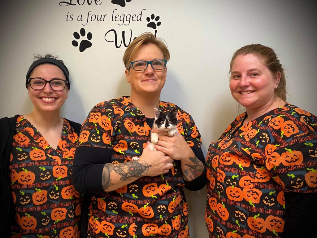 Veterinarian In Kingston, NY 12401 Animal Emergency Clinic Of The